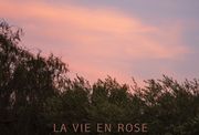 La Vie en Rose filmfest granada FIJR 2015 poster