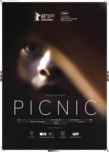 PICNIC cartel filmfest granada  FIJR 2015